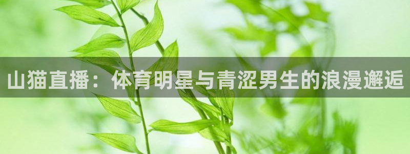 说球帝nba直播在线观看免费冠希：山猫直播：体育明星与青涩男生的浪漫邂逅