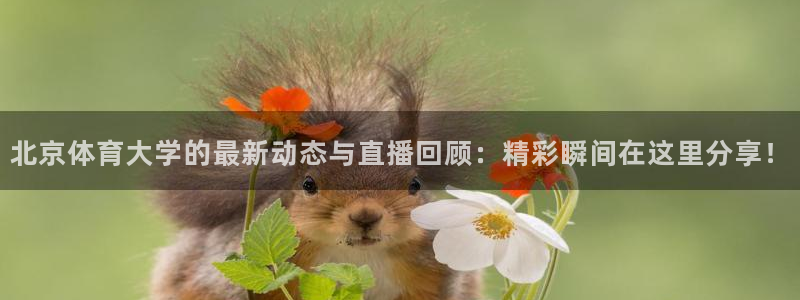 说球帝app手机版免费下载：北京体育大学的最新动态与直播回顾：精彩瞬间在这里分享！