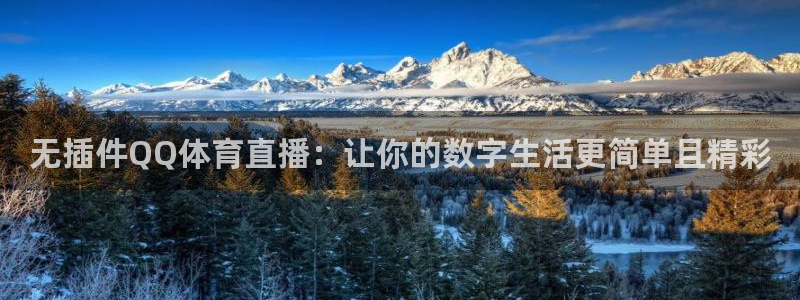 nba直播在线观看说球帝：无插件QQ体育直播：让你的数字生活更简单且精彩