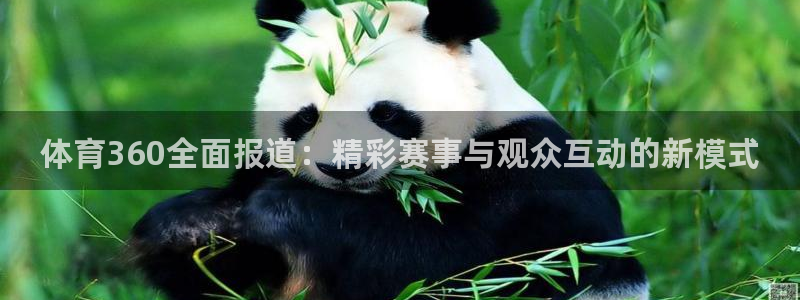 说球帝快直播：体育360全面报道：精彩赛事与观众互动的新模式