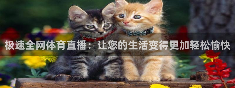 说球帝nba直播免费高清：极速全网体育直播：让您的生活变得更加轻松愉快