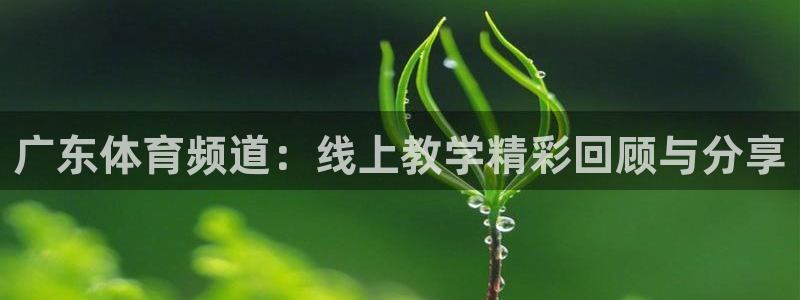说球帝冠希nba直播：广东体育频道：线上教学精彩回顾与分享