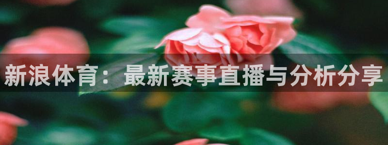 说球帝nba直播在线篮球：新浪体育：最新赛事直播与分析分享