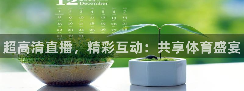 nba直播说球帝：超高清直播，精彩互动：共享体育盛宴