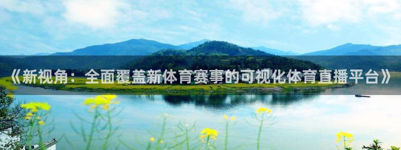 说球帝如何下载：《新视角：全面覆盖新体育赛事的可视化体育直播平台》