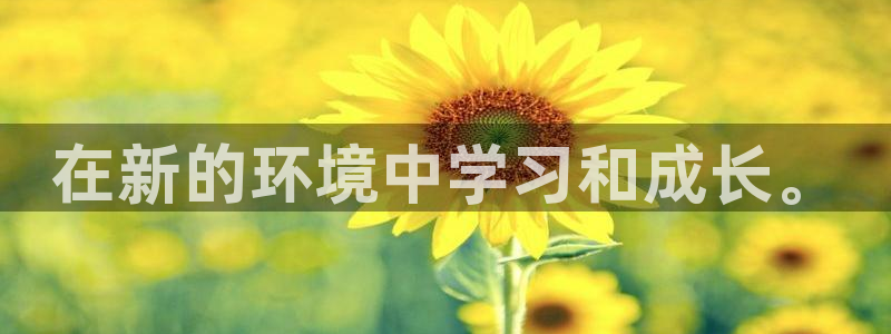 说球帝在线观看nba免费直播：在新的环境中学习和成长。
