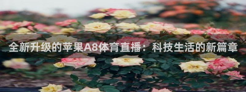 说球帝nba：全新升级的苹果A8体育直播：科技生活的新篇章