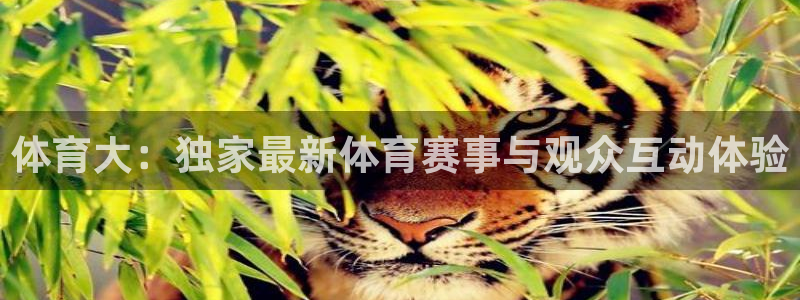 说球帝nba在线直播篮球：体育大：独家最新体育赛事与观众互动体验