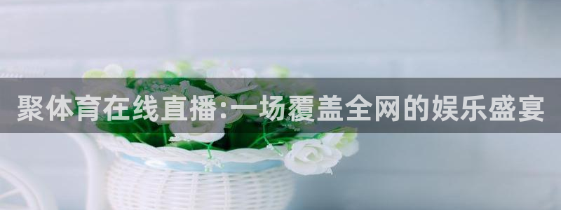 篮球在线直播说球帝：聚体育在线直播:一场覆盖全网的娱乐盛宴